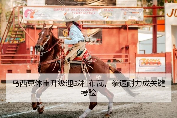 乌西克体重升级迎战杜布瓦，拳速耐力成关键考验